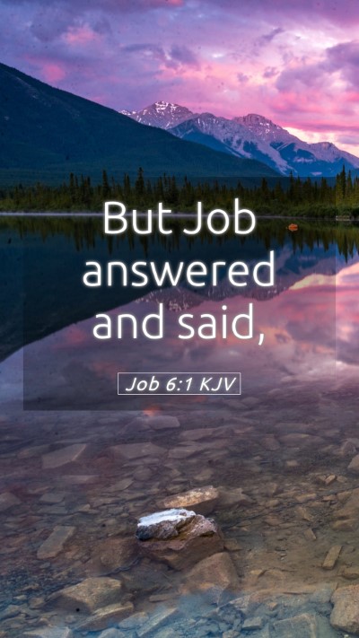 Picture 05 - Job 6:1 KJV Mobile Phone Wallpaper - But Job answered and - Mobile Bible Verse Wallpaper