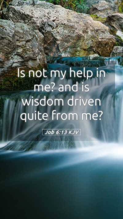Picture 05 - Job 6:13 KJV Mobile Phone Wallpaper - Is not my help in me? and is wisdom driven quite - Mobile Bible Verse Wallpaper