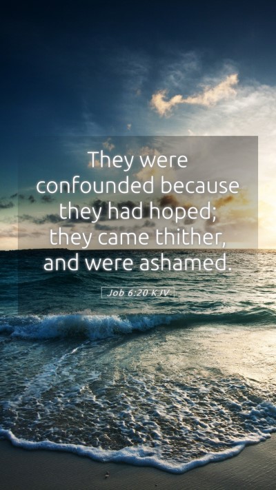 Picture 05 - Job 6:20 KJV Mobile Phone Wallpaper - They were confounded because they had hoped; they - Mobile Bible Verse Wallpaper