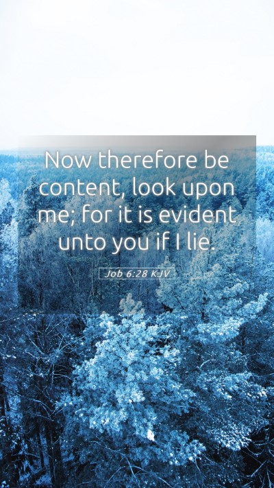 Picture 05 - Job 6:28 KJV Mobile Phone Wallpaper - Now therefore be content, look upon me; for it is - Mobile Bible Verse Wallpaper