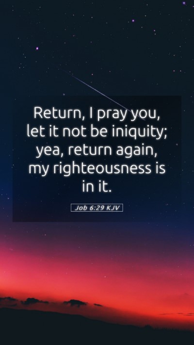 Picture 05 - Job 6:29 KJV Mobile Phone Wallpaper - Return, I pray you, let it not be iniquity; yea, - Mobile Bible Verse Wallpaper