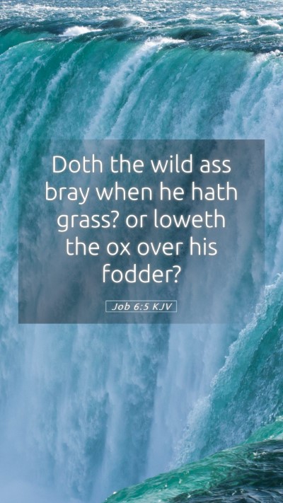 Picture 05 - Job 6:5 KJV Mobile Phone Wallpaper - Doth the wild ass bray when he hath grass? or - Mobile Bible Verse Wallpaper
