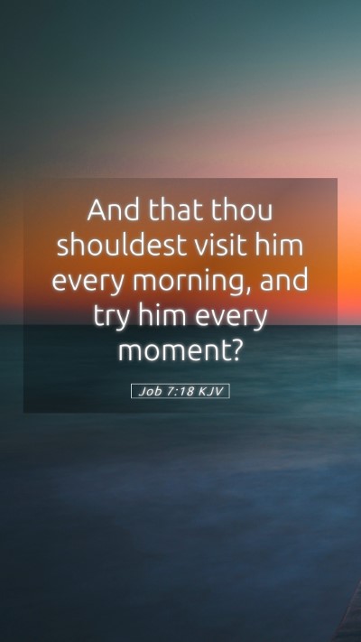 Picture 05 - Job 7:18 KJV Mobile Phone Wallpaper - And that thou shouldest visit him every morning, - Mobile Bible Verse Wallpaper