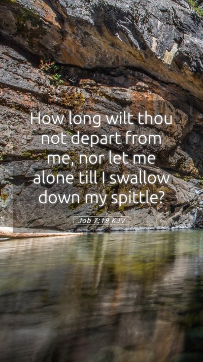 Picture 05 - Job 7:19 KJV Mobile Phone Wallpaper - How long wilt thou not depart from me, nor let me - Mobile Bible Verse Wallpaper