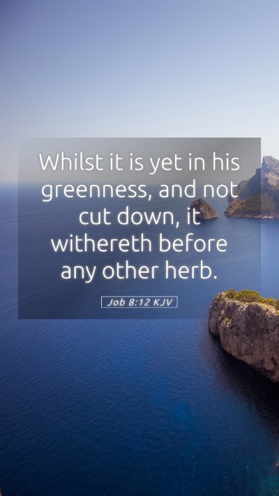 Picture 05 - Job 8:12 KJV Mobile Phone Wallpaper - Whilst it is yet in his greenness, and not cut - Mobile Bible Verse Wallpaper