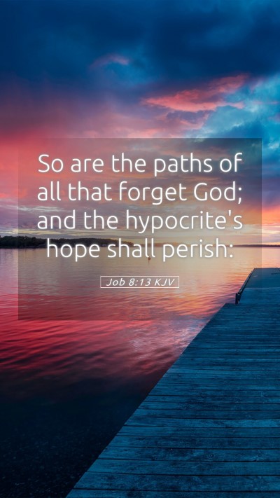 Picture 05 - Job 8:13 KJV Mobile Phone Wallpaper - So are the paths of all that forget God; and the - Mobile Bible Verse Wallpaper