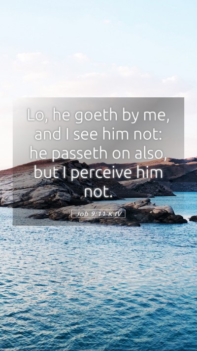 Picture 05 - Job 9:11 KJV Mobile Phone Wallpaper - Lo, he goeth by me, and I see him not: he passeth - Mobile Bible Verse Wallpaper