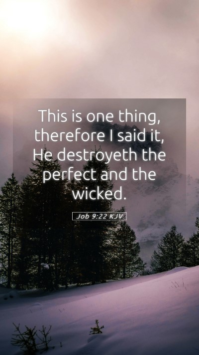 Picture 05 - Job 9:22 KJV Mobile Phone Wallpaper - This is one thing, therefore I said it, He - Mobile Bible Verse Wallpaper