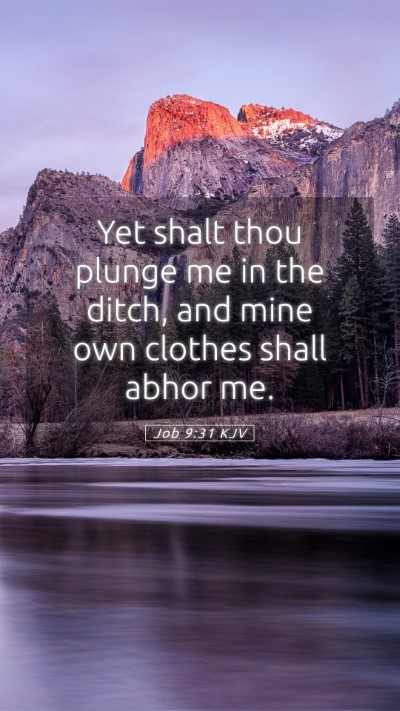 Picture 05 - Job 9:31 KJV Mobile Phone Wallpaper - Yet shalt thou plunge me in the ditch, and mine - Mobile Bible Verse Wallpaper