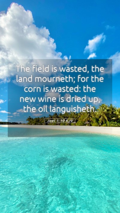 Picture 05 - Joel 1:10 KJV Mobile Phone Wallpaper - The field is wasted, the land mourneth; for the - Mobile Bible Verse Wallpaper