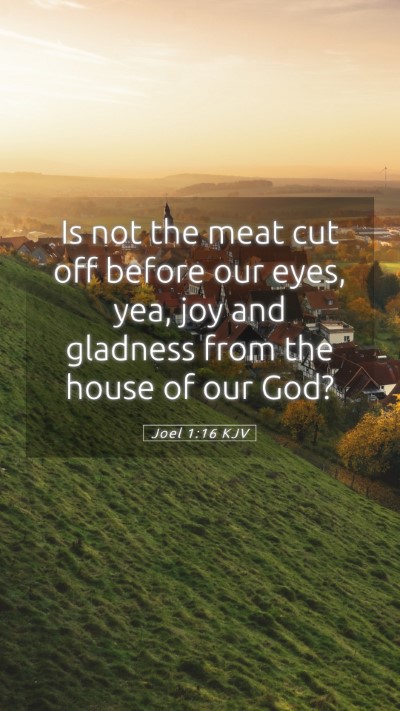 Picture 05 - Joel 1:16 KJV Mobile Phone Wallpaper - Is not the meat cut off before our eyes, yea, joy - Mobile Bible Verse Wallpaper
