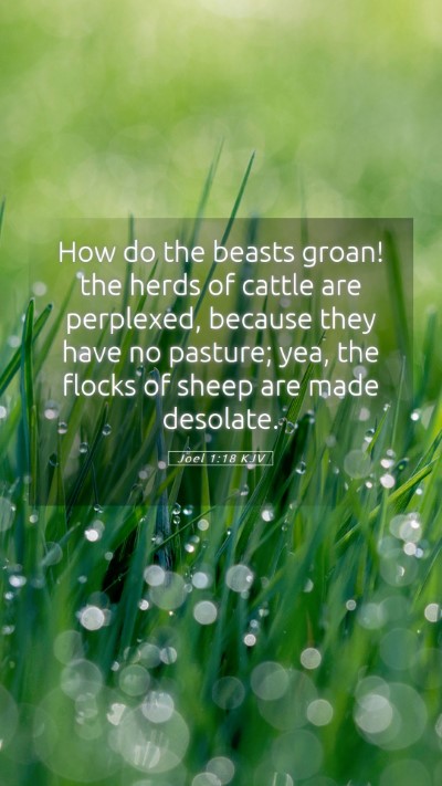 Picture 05 - Joel 1:18 KJV Mobile Phone Wallpaper - How do the beasts groan! the herds of cattle are - Mobile Bible Verse Wallpaper