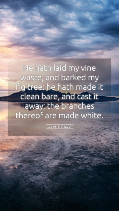 Picture 05 - Joel 1:7 KJV Mobile Phone Wallpaper - He hath laid my vine waste, and barked my fig - Mobile Bible Verse Wallpaper
