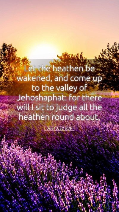 Picture 05 - Joel 3:12 KJV Mobile Phone Wallpaper - Let the heathen be wakened, and come up to the - Mobile Bible Verse Wallpaper