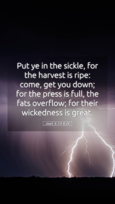 Picture 05 - Joel 3:13 KJV Mobile Phone Wallpaper - Put ye in the sickle, for the harvest is ripe: - Mobile Bible Verse Wallpaper