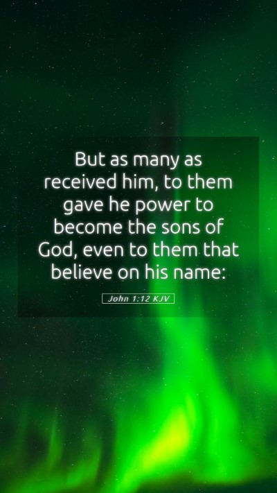 Picture 05 - John 1:12 KJV Mobile Phone Wallpaper - But as many as received him, to them gave he - Mobile Bible Verse Wallpaper