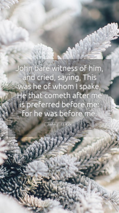 Picture 05 - John 1:15 KJV Mobile Phone Wallpaper - John bare witness of him, and cried, saying, This - Mobile Bible Verse Wallpaper