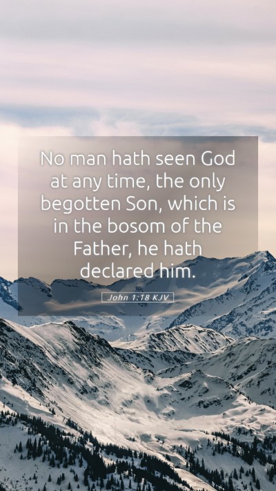Picture 05 - John 1:18 KJV Mobile Phone Wallpaper - No man hath seen God at any time, the only - Mobile Bible Verse Wallpaper
