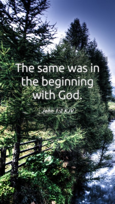 Picture 05 - John 1:2 KJV Mobile Phone Wallpaper - The same was in the beginning with - Mobile Bible Verse Wallpaper