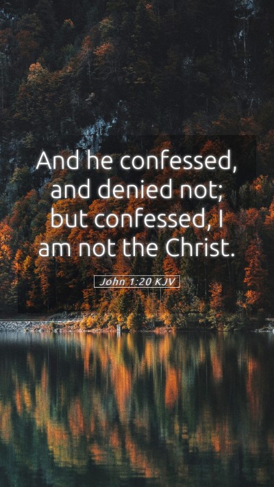 Picture 05 - John 1:20 KJV Mobile Phone Wallpaper - And he confessed, and denied not; but confessed, - Mobile Bible Verse Wallpaper