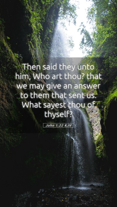 Picture 05 - John 1:22 KJV Mobile Phone Wallpaper - Then said they unto him, Who art thou? that we - Mobile Bible Verse Wallpaper