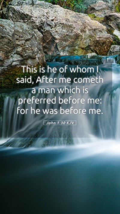 Picture 05 - John 1:30 KJV Mobile Phone Wallpaper - This is he of whom I said, After me cometh a man - Mobile Bible Verse Wallpaper