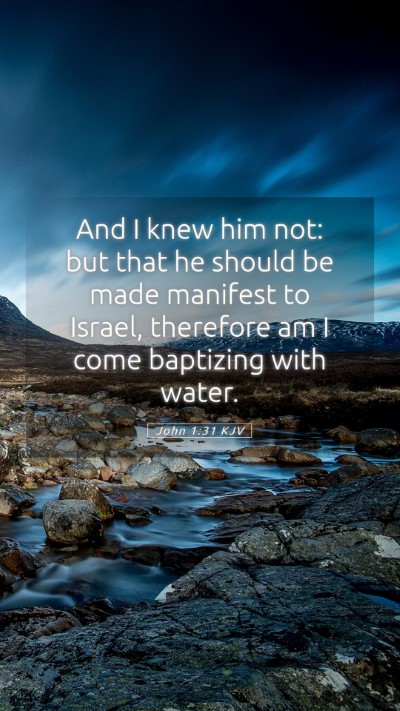 Picture 05 - John 1:31 KJV Mobile Phone Wallpaper - And I knew him not: but that he should be made - Mobile Bible Verse Wallpaper