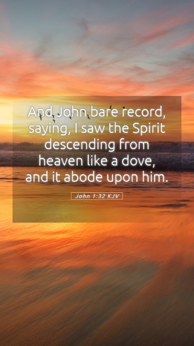Picture 05 - John 1:32 KJV Mobile Phone Wallpaper - And John bare record, saying, I saw the Spirit - Mobile Bible Verse Wallpaper