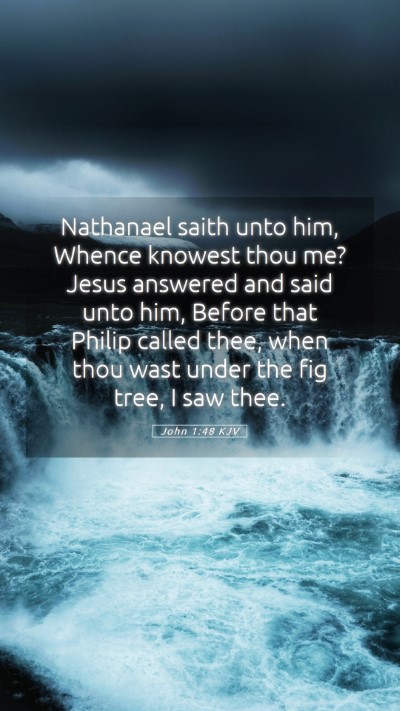 Picture 05 - John 1:48 KJV Mobile Phone Wallpaper - Nathanael saith unto him, Whence knowest thou me? - Mobile Bible Verse Wallpaper