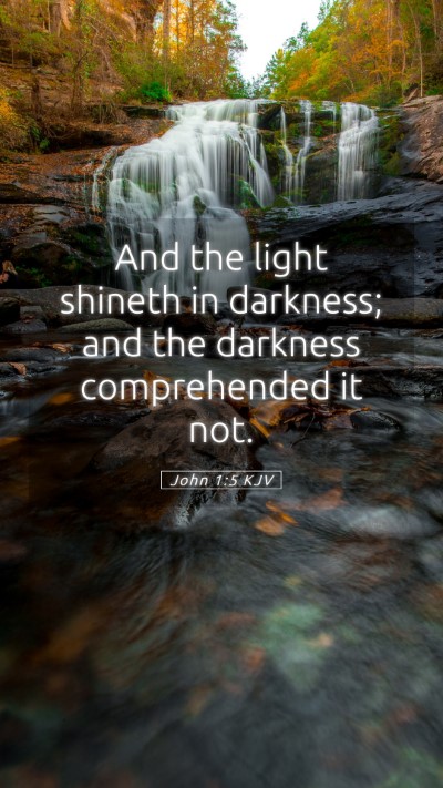 Picture 05 - John 1:5 KJV Mobile Phone Wallpaper - And the light shineth in darkness; and the - Mobile Bible Verse Wallpaper