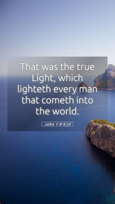 Picture 05 - John 1:9 KJV Mobile Phone Wallpaper - That was the true Light, which lighteth every man - Mobile Bible Verse Wallpaper