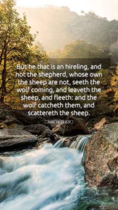 Picture 05 - John 10:12 KJV Mobile Phone Wallpaper - But he that is an hireling, and not the shepherd, - Mobile Bible Verse Wallpaper