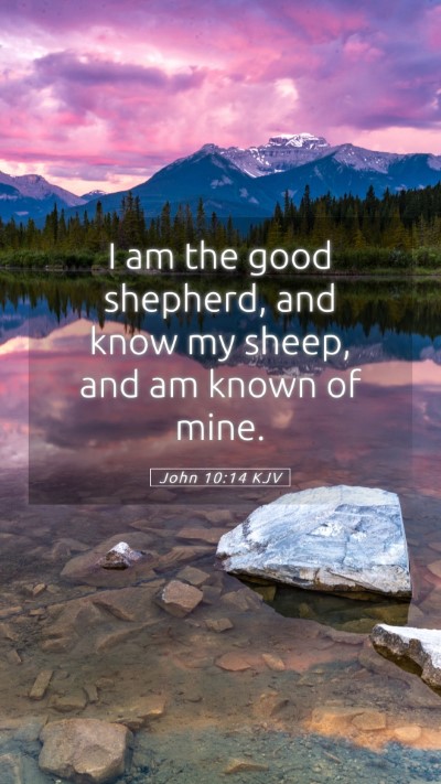 Picture 05 - John 10:14 KJV Mobile Phone Wallpaper - I am the good shepherd, and know my sheep, and am - Mobile Bible Verse Wallpaper