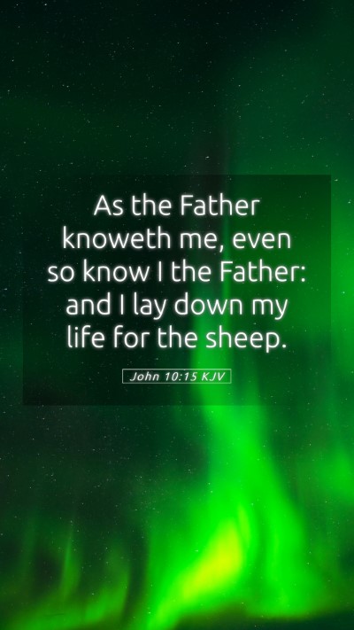 Picture 05 - John 10:15 KJV Mobile Phone Wallpaper - As the Father knoweth me, even so know I the - Mobile Bible Verse Wallpaper
