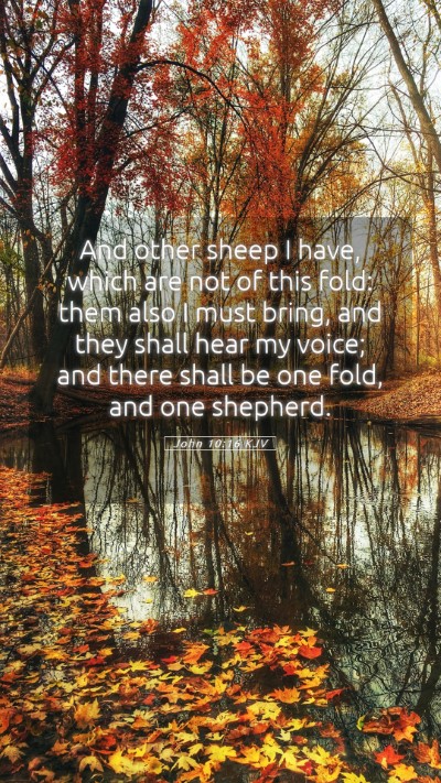 Picture 05 - John 10:16 KJV Mobile Phone Wallpaper - And other sheep I have, which are not of this - Mobile Bible Verse Wallpaper