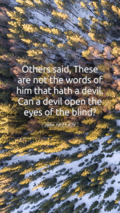 Picture 05 - John 10:21 KJV Mobile Phone Wallpaper - Others said, These are not the words of him that - Mobile Bible Verse Wallpaper