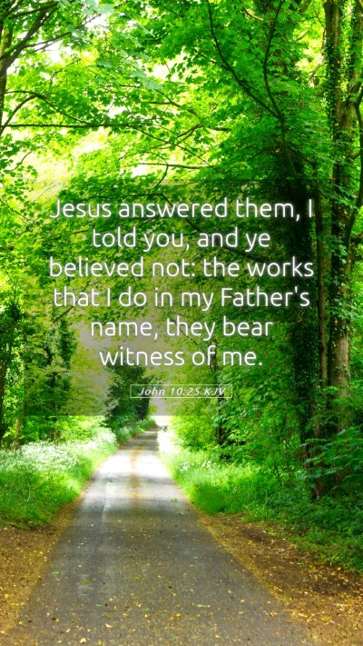 Picture 05 - John 10:25 KJV Mobile Phone Wallpaper - Jesus answered them, I told you, and ye believed - Mobile Bible Verse Wallpaper