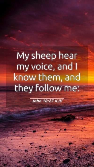 Picture 05 - John 10:27 KJV Mobile Phone Wallpaper - My sheep hear my voice, and I know them, and they - Mobile Bible Verse Wallpaper