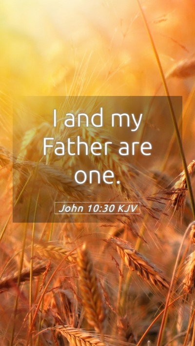 Picture 05 - John 10:30 KJV Mobile Phone Wallpaper - I and my Father are - Mobile Bible Verse Wallpaper