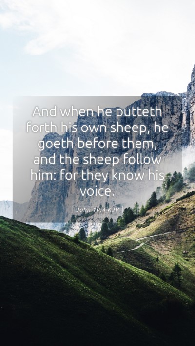 Picture 05 - John 10:4 KJV Mobile Phone Wallpaper - And when he putteth forth his own sheep, he goeth - Mobile Bible Verse Wallpaper