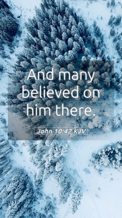 Picture 05 - John 10:42 KJV Mobile Phone Wallpaper - And many believed on him - Mobile Bible Verse Wallpaper