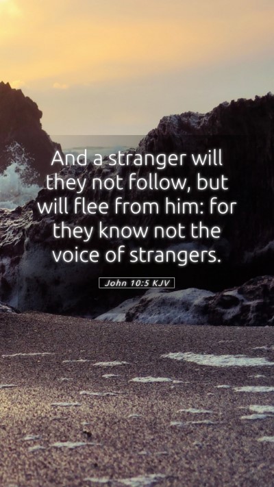 Picture 05 - John 10:5 KJV Mobile Phone Wallpaper - And a stranger will they not follow, but will - Mobile Bible Verse Wallpaper