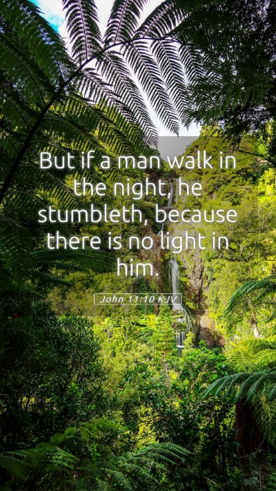 Picture 05 - John 11:10 KJV Mobile Phone Wallpaper - But if a man walk in the night, he stumbleth, - Mobile Bible Verse Wallpaper