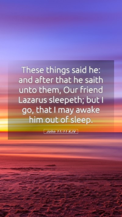 Picture 05 - John 11:11 KJV Mobile Phone Wallpaper - These things said he: and after that he saith - Mobile Bible Verse Wallpaper