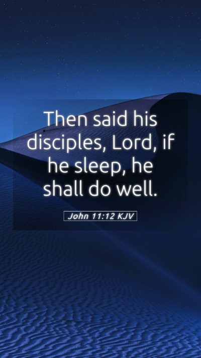 Picture 05 - John 11:12 KJV Mobile Phone Wallpaper - Then said his disciples, Lord, if he sleep, he - Mobile Bible Verse Wallpaper