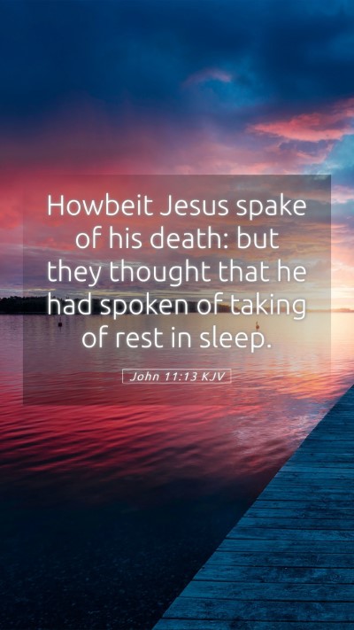 Picture 05 - John 11:13 KJV Mobile Phone Wallpaper - Howbeit Jesus spake of his death: but they - Mobile Bible Verse Wallpaper