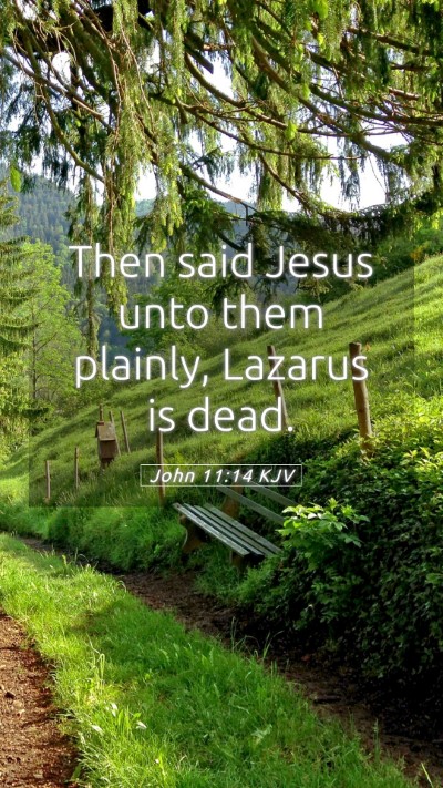 Picture 05 - John 11:14 KJV Mobile Phone Wallpaper - Then said Jesus unto them plainly, Lazarus is - Mobile Bible Verse Wallpaper
