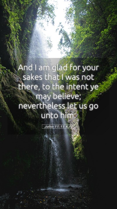 Picture 05 - John 11:15 KJV Mobile Phone Wallpaper - And I am glad for your sakes that I was not - Mobile Bible Verse Wallpaper