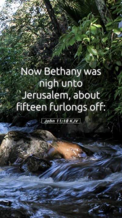 Picture 05 - John 11:18 KJV Mobile Phone Wallpaper - Now Bethany was nigh unto Jerusalem, about - Mobile Bible Verse Wallpaper