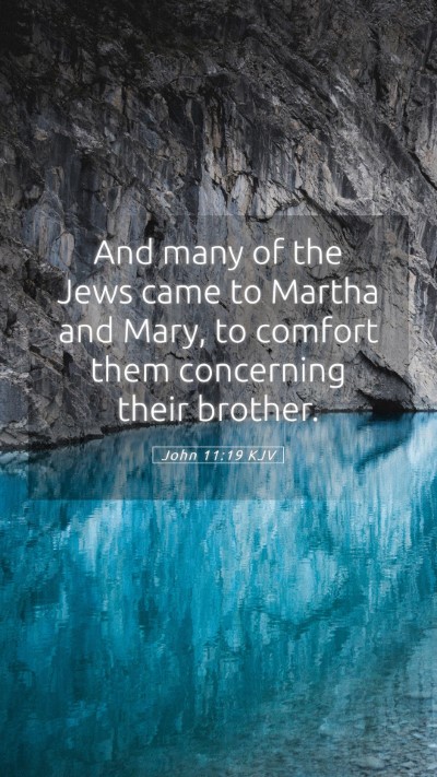 Picture 05 - John 11:19 KJV Mobile Phone Wallpaper - And many of the Jews came to Martha and Mary, to - Mobile Bible Verse Wallpaper